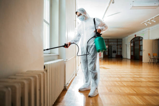 Best Fumigation Services  in Superior, AZ